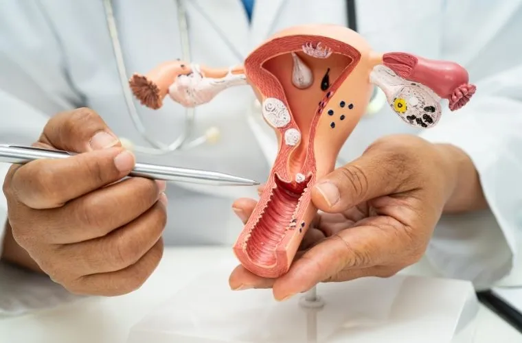 colposcopy img 2_result