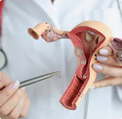 Gynecology