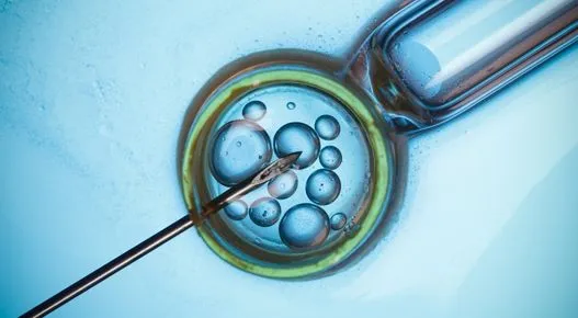 ivf treatment in dubai
