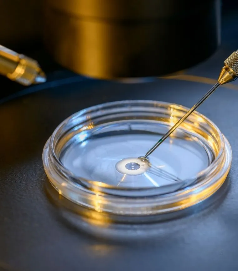 ivf treatment in dubai