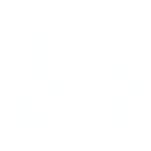 pelvic floor
