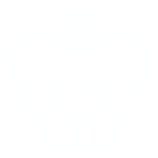 pelvic pessary