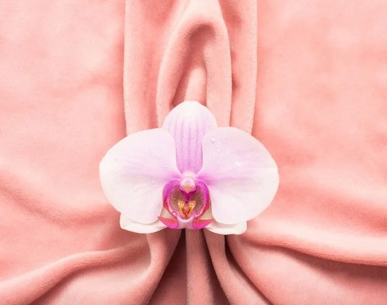 labiaplasty imge 2_result